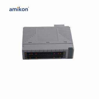 ADV142-P10 S1